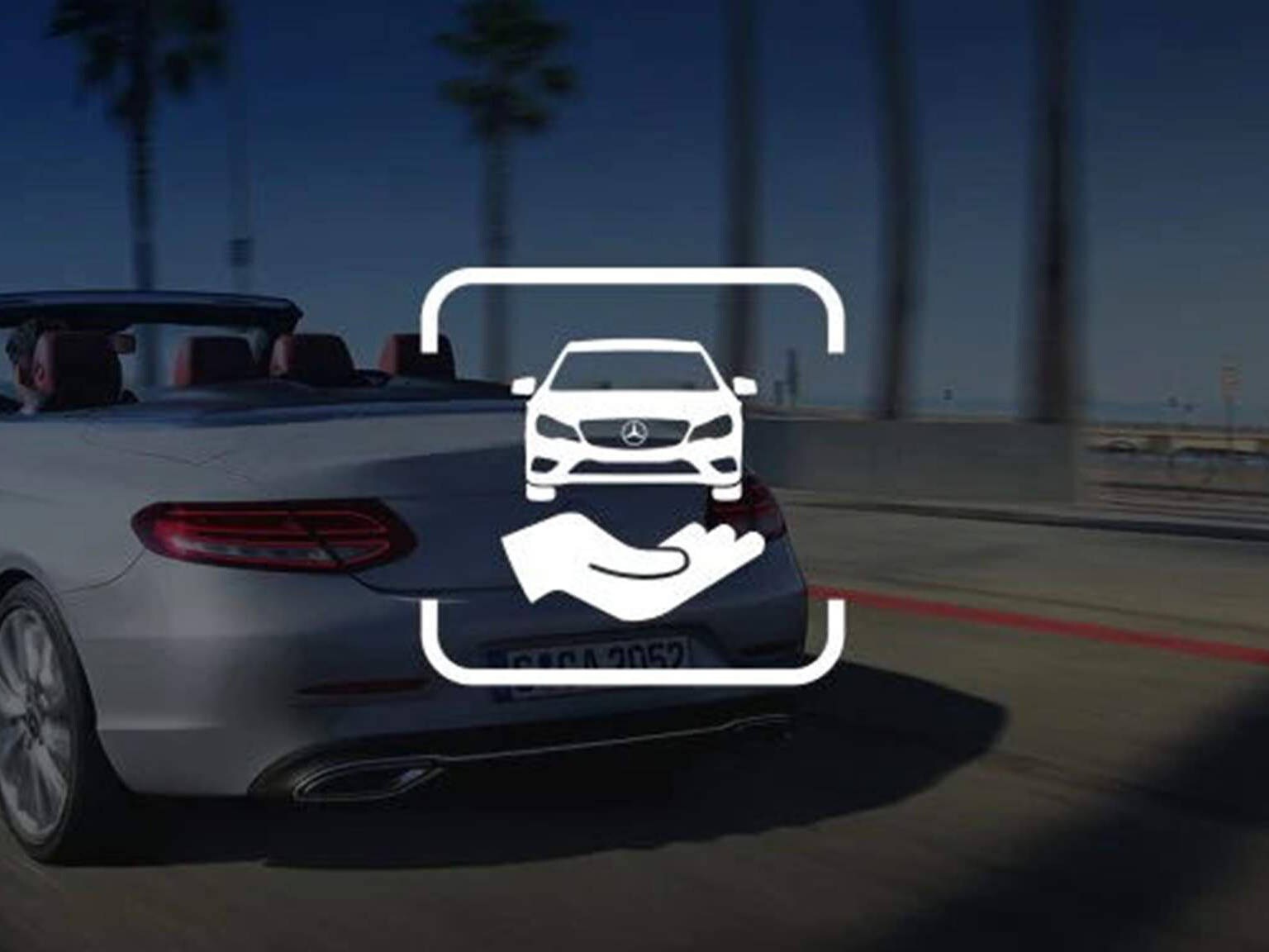 12 meses de garantia de mobilidade